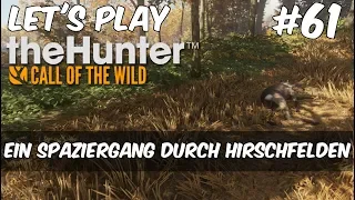 the Hunter Call of the Wild #61 - Ein Spaziergang durch Hirschfelden [Gameplay | Deutsch]