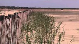 Elmer's Island - Grand Isle, LA