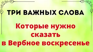 Три Важных Слова - которые нужно произнести в Вербное воскресенье.