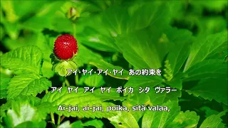 【和訳付き】野いちご (フィンランド民謡) "Mansikka on punanen marja" - カナ読み有
