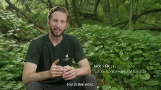 Controlling invasive garlic mustard