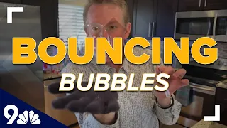 Entertain the kids with these bouncing bubbles