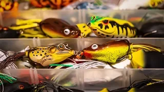 Frog Fishing For Bass | Everything You Need To Know