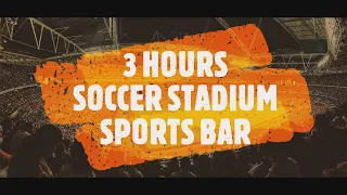 3 HOURS SOCCER STADIUM SPORTS BAR AMBIENT SOUND SOUND EFFECTS WHITE NOISE