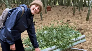 We chop bamboo in the mountains of Izumi's parents