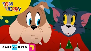 Tom and Jerry: Festive Boat | Cartoonito Africa