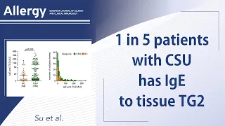 One in five patients with chronic spontaneous urticaria has IgE to tissue transglutaminase 2