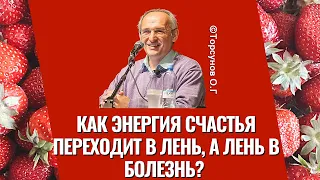 Как энергия счастья переходит в лень, а лень в болезнь? Торсунов лекции