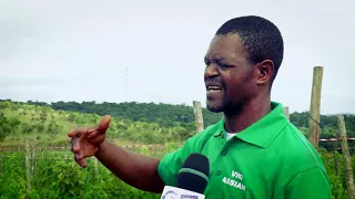 CAPSULE L’UNIQUE VIGNOBLE D’AFRIQUE CENTRALE