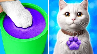 Homeless Cat Makeover 😽 *Useful Tips and Tricks for Pet Owners*