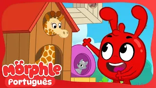 Uma Casa Para a Girafa | Morphle em Português | Desenhos em Portugues | Desenhos