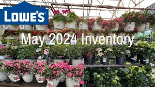 🔴 NEW ARRIVALS Lowe's Garden Center Inventory May 2024 New Perennials, Shrubs, Evergreens & Annuals!