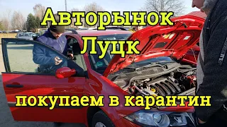 Авторынок Луцк, ищем живое авто, автоподбор, обзор цен, ноябрь 2021.