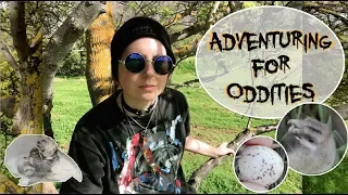 Adventuring for Oddities | Vulture Vlog