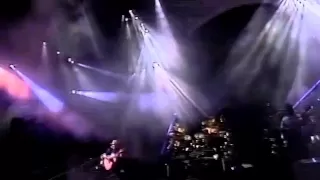 Wish you were here - Pink Floyd - Live in Venice 1989 (good audio)