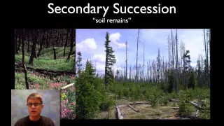 Ecological Succession