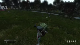 DayZ Friendly Fire