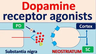 Dopamine receptor agonists for Parkinson Disease (PD)