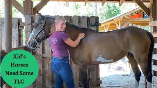 Ivy, the Babysitter of Kids and Her Horse Massage Part 2 Shoulder and Back Muscles!