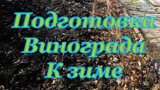 Подготовка винограда к зиме. Главное правила обрезки винограда- НЕ ЖАЛЕТЬ!