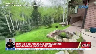 Itim na oso, nahuling kumakain ng dog food sa loob ng pickup | UB