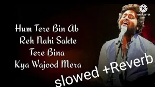 Hum Tere Bin ab Reh nahi Sakte. ( slowed + Reverb ) [ Arijir singh ] Aashiqui 2 💕💕