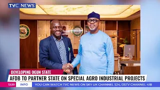 AfDB To Partner Ogun State On Special Agro Industrial Projects