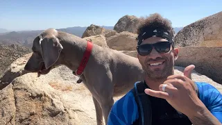 Hiked the Arrowhead Pinnacles Trail with Ghost deep in Lake Arrowhead, CA