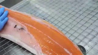 Smoked Scottish Salmon Lebanese Factory