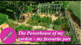 The Powerhouse of my garden - my favourite part