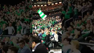 Žalgiris fans