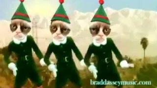 Grumpy Cat Christmas Dance @TMZ