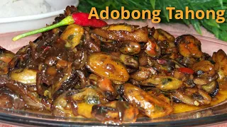 Spicy Adobong Tahong| panlasang pinoy| Spicy Mussel Recipe