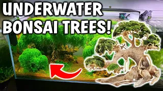 How To Create *EASY* Underwater Aquarium Trees For Your Planted Tank