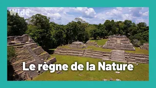 Belize : Une terre merveilleuse et impénétrable I WIDE