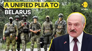 Why are Poland and Baltic states urging Belarus to expel Wagner fighters? | WION Originals