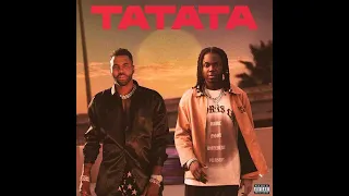 Jason Derulo & JCingz - TA TA TA (Remix)