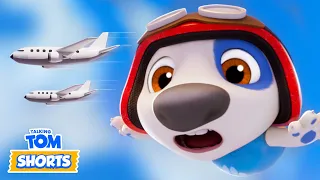 ✈️ Pilot Hank 😳 - Talking Tom Shorts