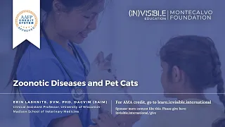 Zoonotic Diseases and Pet Cats