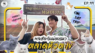 อาหารของอาเล็ก EP. 99 กิน เที่ยว พายเรือกับน้องแมว ครบจบที่ตลาดหัวตะเข้ (ลาดกระบัง)