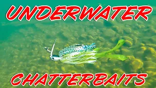 Underwater Chatterbait Footage! 19 Trailers Compared In Crystal Clear Water!!