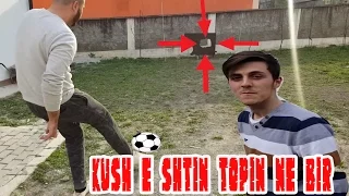 Challenge - Kush e shtin topin ne bir