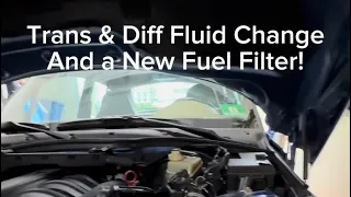 99 BMW Z3 M Coupe Maintenance (Spark Plugs, Fuel Filter, Diff & Transmission Fluid Change)