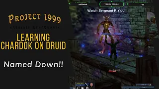 Everquest Project 1999: Druid Farming - Learning Chardok! Watch Sergeant Riz`oul Down!