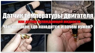 Датчик температуры двигателя - что это, как выглядит