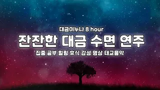 8시간⏰잔잔한 대금 수면 연주 8시간 연속듣기🎵 장작소리⎮ 중간광고없음 ⎮ 🌈집중 공부 힐링 휴식 감성 명상 태교음악 1시간 5시간 8Hours korea Daegeum Play