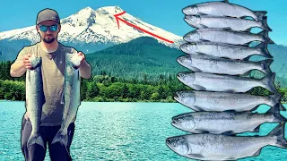 Trolling for Sockeye SALMON near a VOLCANO Washington State!!