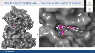 Demonstration-3 Binding site identification/Site map analysis