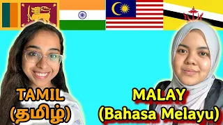 Similarities Between Tamil and Malay