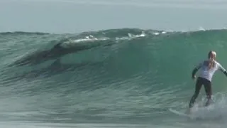 Dolphins make cameo appearance at surfing competition